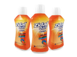 Zidal